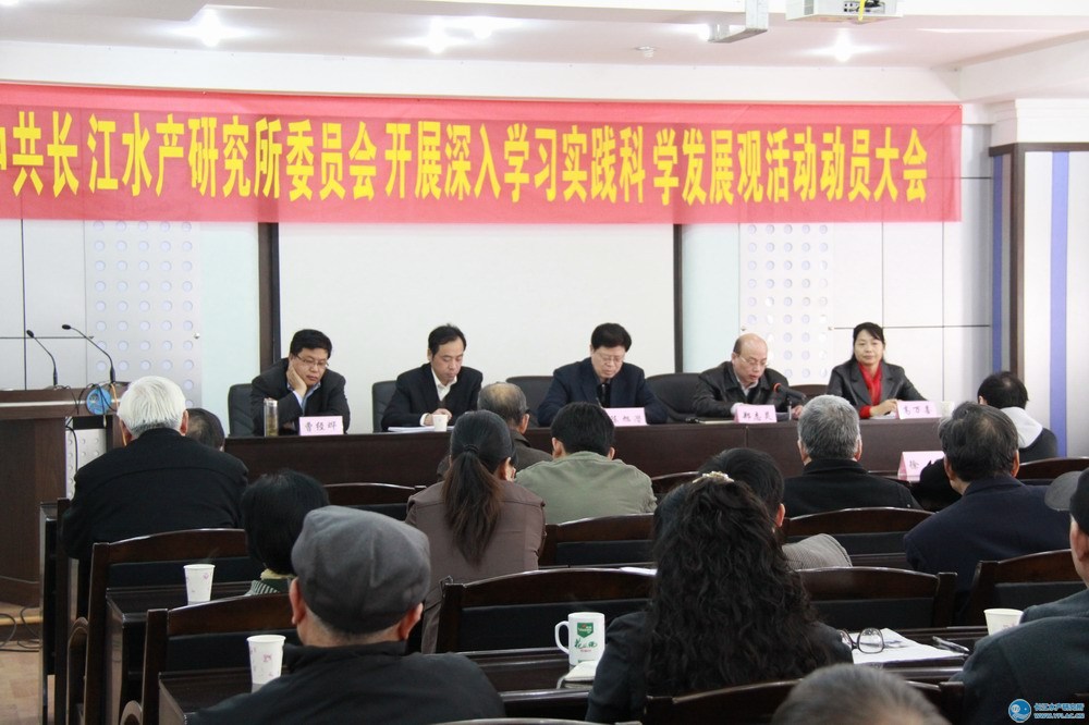 点击放大