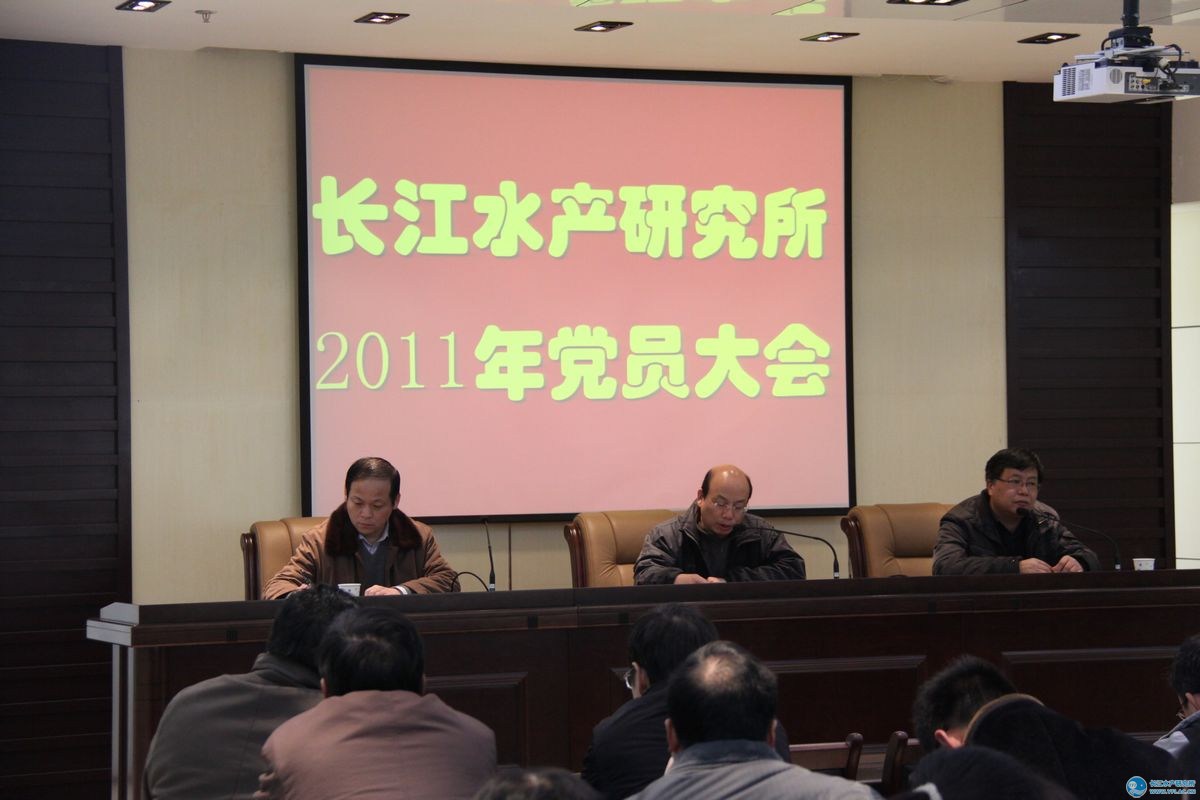 点击放大