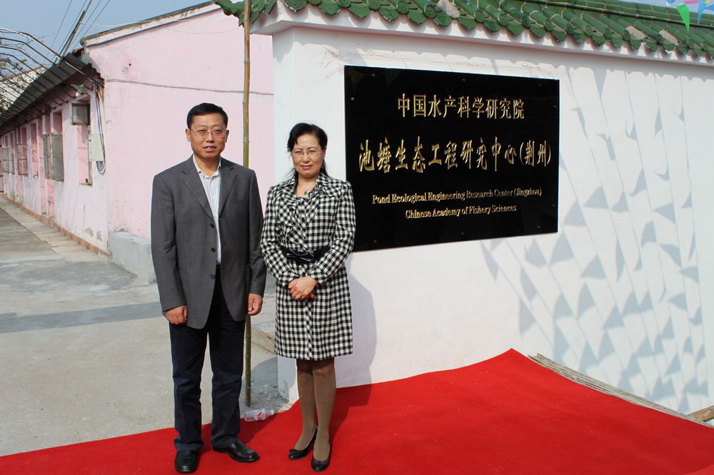 点击放大