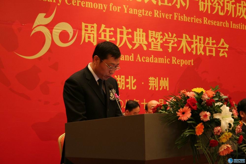 点击放大