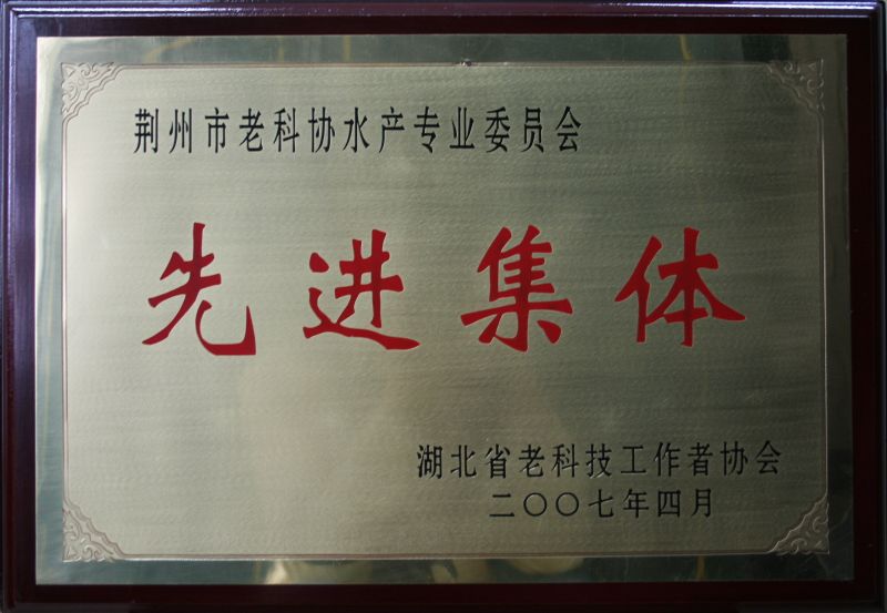 先进集体奖牌