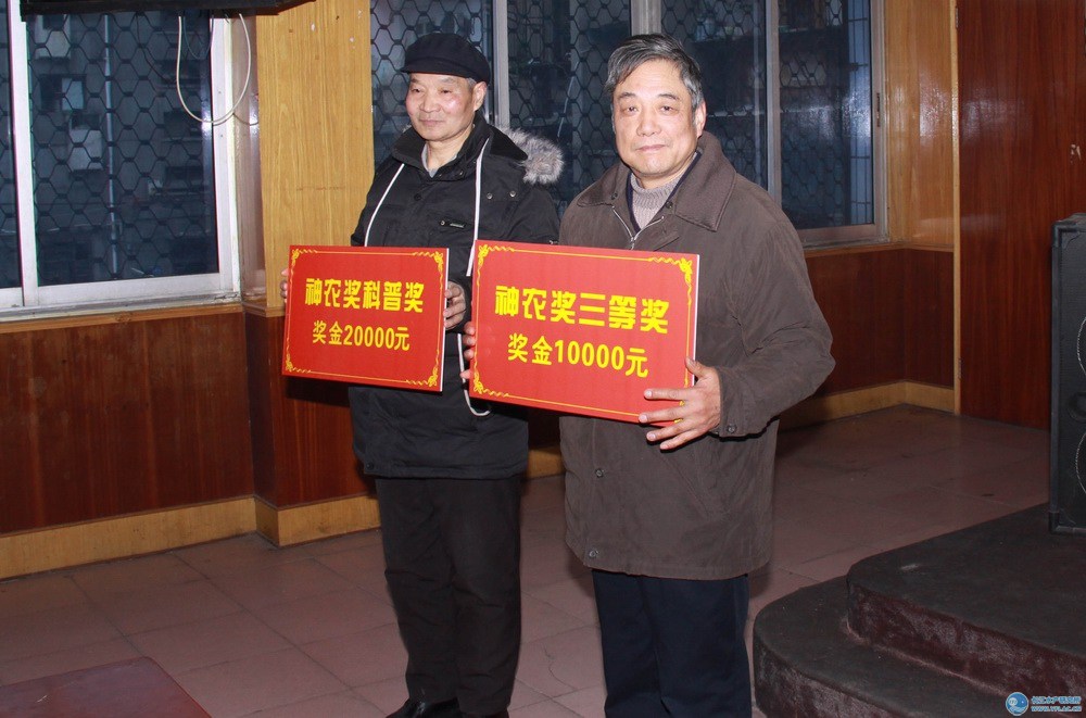 点击放大